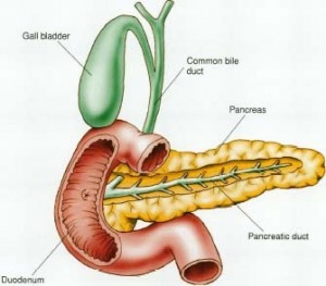 Pancreatitis